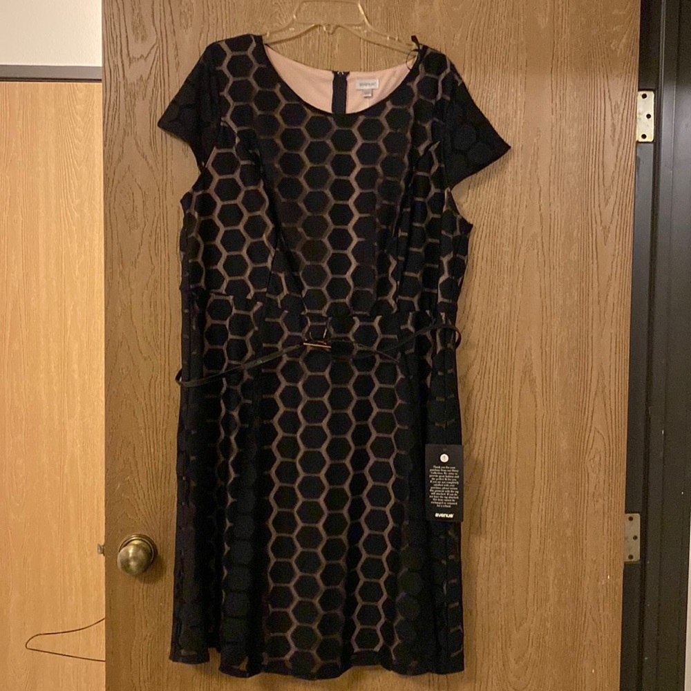 Avenue Sheer Black Overlay Dress w/ Belt